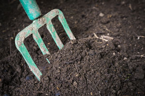 Cost of Topsoil Spreading in Lawrence