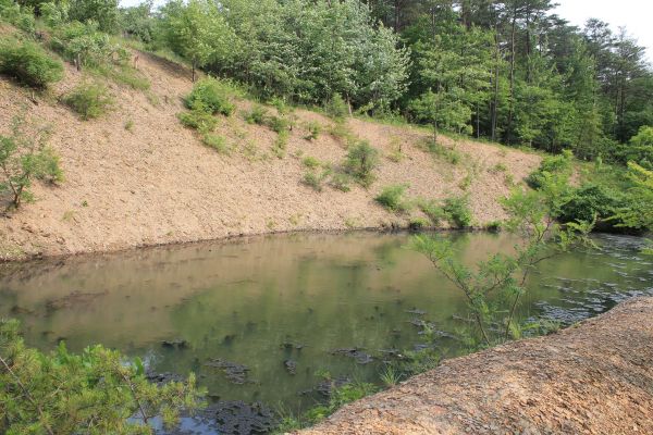 Cost of Pond Erosion Repair in Lawrence