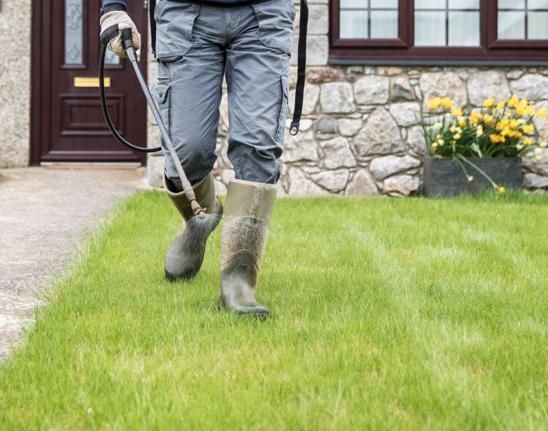 Final Grading Touches